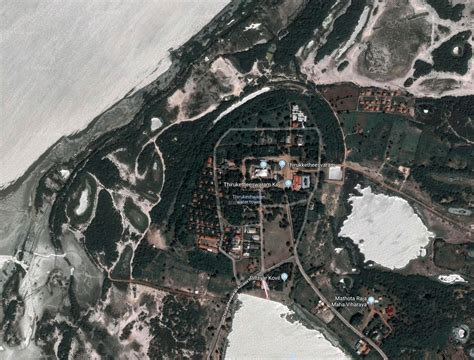 World’s oldest clove may have been found in Sri Lanka, hinting at a ...