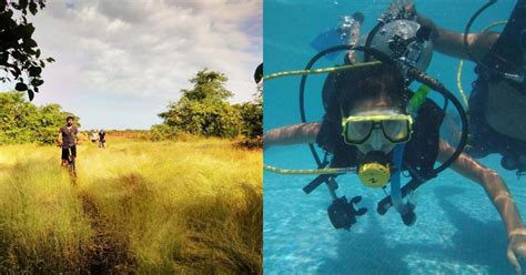 Ethical Dolphin Watching To Backwater Kayaking, Experience Goa In A New ...