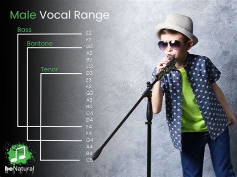 Image result for Vocal Range Examples