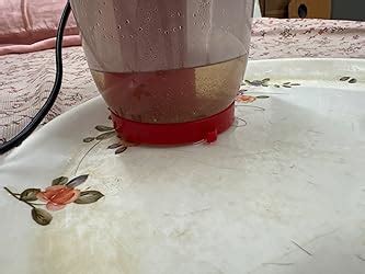 Wonder Steam Inhaler Sauna Vaporizer for Blackheads Removal, Cold ...