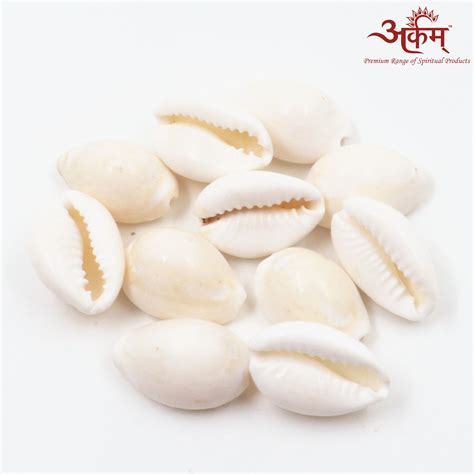 Arkam - Premium range of spiritual products|Arkam White Kauri / Safed ...