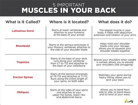 Back Strained Muscle