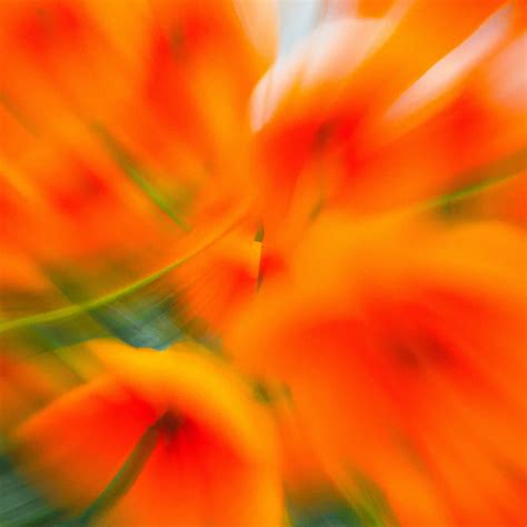 Openai Jukebox Logo 的图像结果