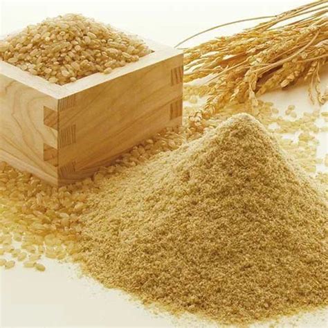 Raw Rice Bran Manufacturers Wholesale Bulk Suppliers in India – Rilik ...