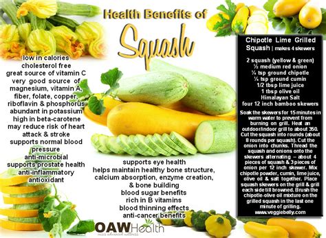 Green Squash Nutrition Facts at Randall Tran blog