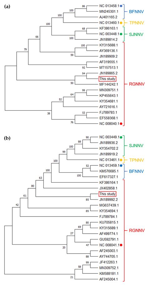 Update on the Inactivation Procedures for the Vaccine Development ...