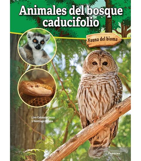 Buy Animales Del Bosque Caducifolio / Deciduous Forest Animals (Fauna ...