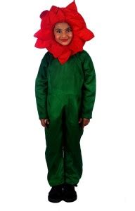 SBD Red Rose Flower Fancy dress costume for kids Kids Costume Wear ...