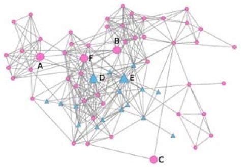Image result for Social Network Visualization Tools