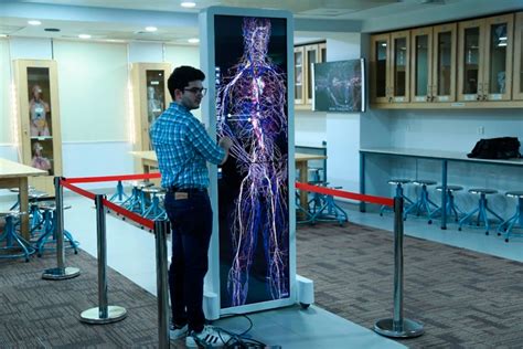 Virtual Dissection Table 的图像结果