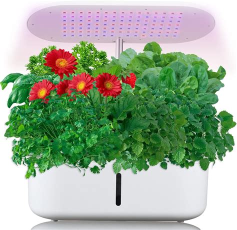 KvyusFlourish Hydroponics Growing System Indoor Garden with Grow India ...