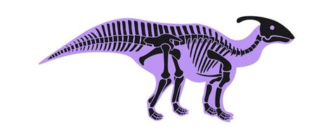 Esqueleto de dinossauro Parasaurolophus Ilustração em vetor animal pré ...