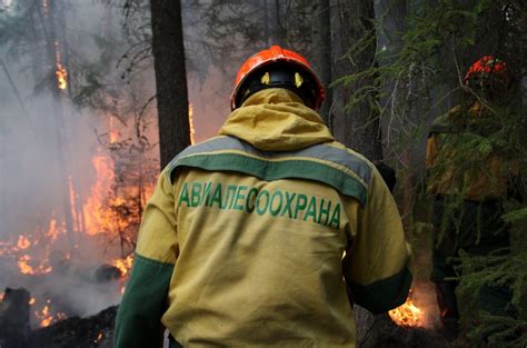 Авиалесоохрана России празднует 90-летие со дня основания ...