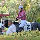 Hipódromo Camarero - Primera Hora