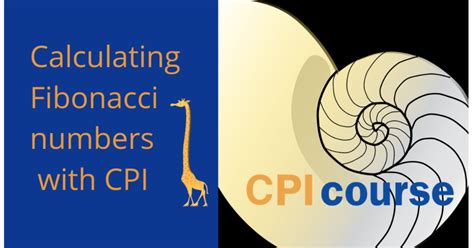 Image result for How Fibonacci Is Calculated