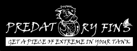Predatory Fins Fish Store 的图像结果