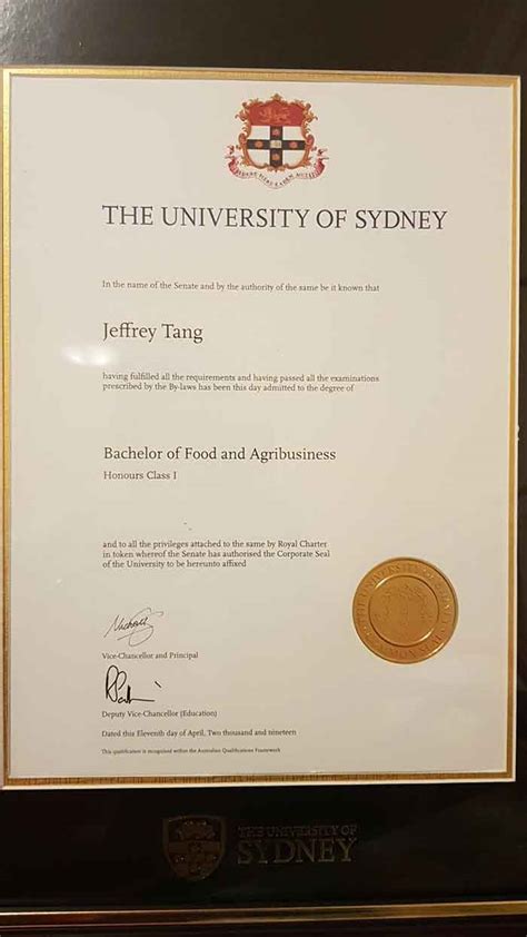 悉尼大学的毕业照