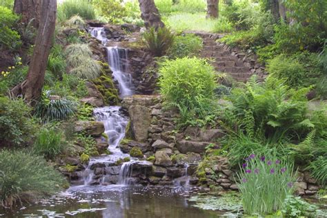 Hughes Water Gardens Projects | Oregon - Hughes Water Gardens