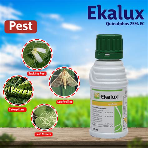 Syngenta Ekalux (Quinalphos 25% EC) Insecticide – Agriplex