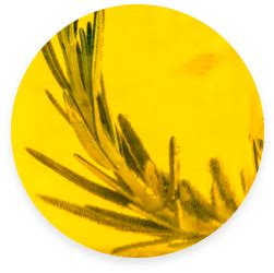 Wavy Hair Conditioner, Best Conditioner for Smooth Hair, Hydro Nourish ...