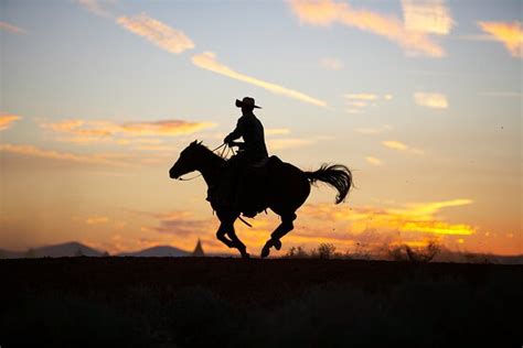 Beautiful ranch for families! - Reviews, Photos - The Ranch At Wild ...