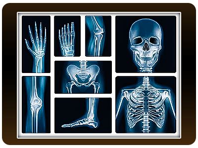 Learn Data science Programming with Online Courses, Classes, & Lessons