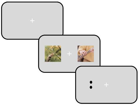 Eye Tracking Applied to Tobacco Smoking: Current Directions and Future ...