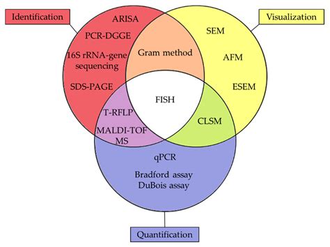 A Review on Ion-Exchange Membrane Fouling during the Electrodialysis ...