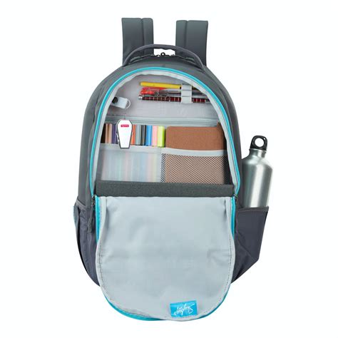Skybags Campus 01 Laptop Backpack Grey