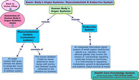 Zoom- Body's Organ Systems-Musculoskeletal -Endocrine System.html