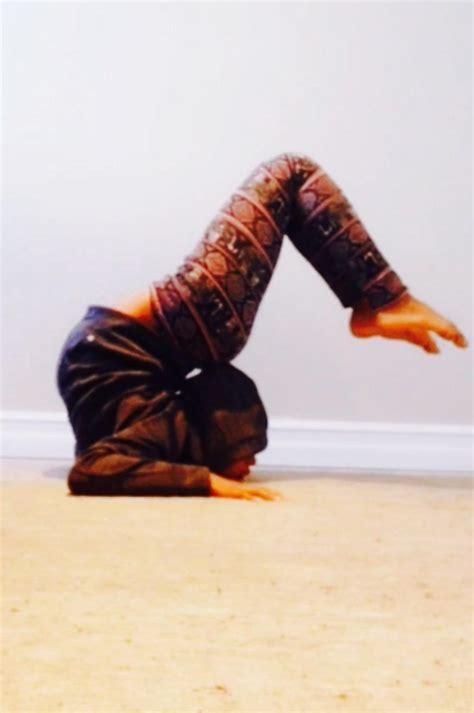 Amazing Contortion Backbends 的图像结果