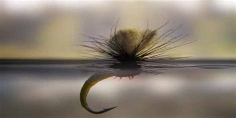 Image result for Emerger Fly Pattern