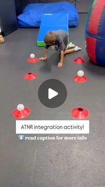 Atnr Integration 的图像结果