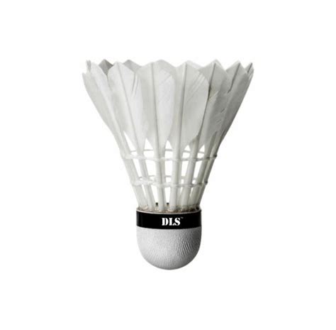 ShuttleCock Box 的图像结果