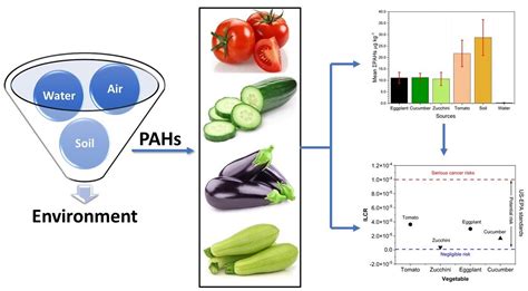 Accumulation, Source Identification, and Cancer Risk Assessment of ...