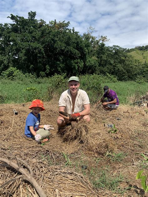 Tree-Planting Day 的图像结果