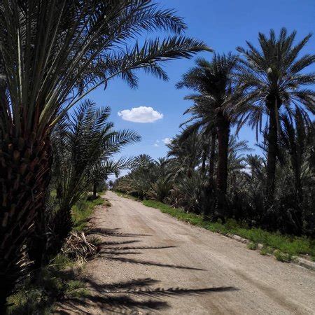 Bafq Tourism (2024): All You Need to Know Before You Go