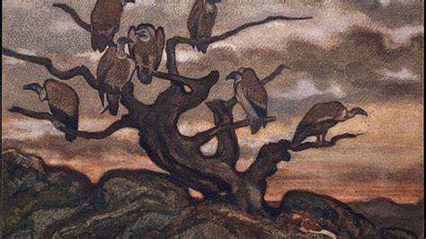 How Trophic Cascades Devastate Ecosystems, Endanger Human Health ...