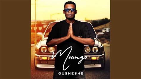 Image result for Sjava Gusheshe
