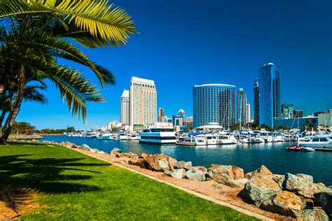 UC San Diego (UCSD) Acceptance Rate (2024-2025) — Breakdown & Analysis ...