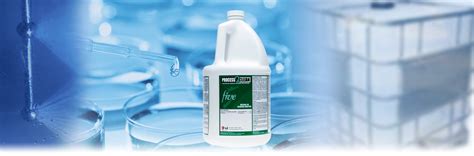 Process Clean 的图像结果