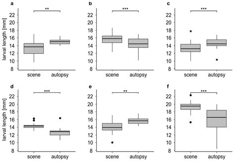 To Be There or Not to Be There, That Is the Question—On the Problem of ...