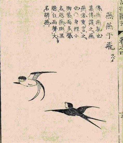 给孩子起名时「女诗经，男楚辞，文论语，武周易」的说法从何而来？ - 知乎