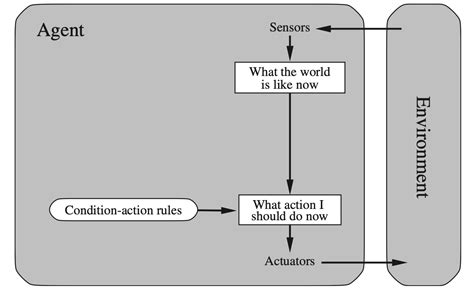 Reflex Agent 的图像结果