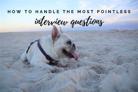 Image result for Pointless Answer