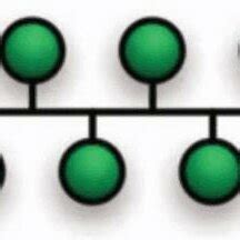 Bus Network 的图像结果