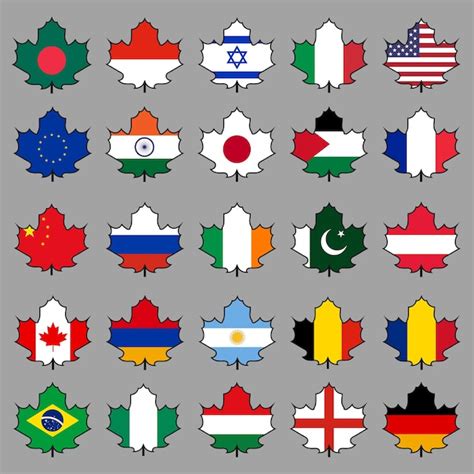 Other Flags Icons 的图像结果