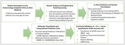 Functional Characterization of Novel MC4R Variants Identified in Two ...