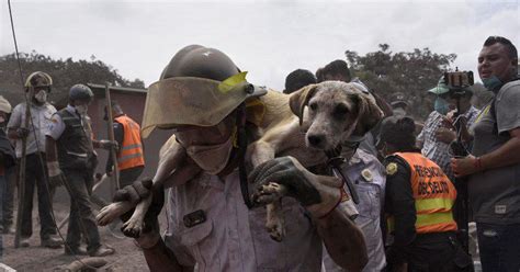 Guatemala’s Fuego volcano eruption toll rises to 75, around 200 missing