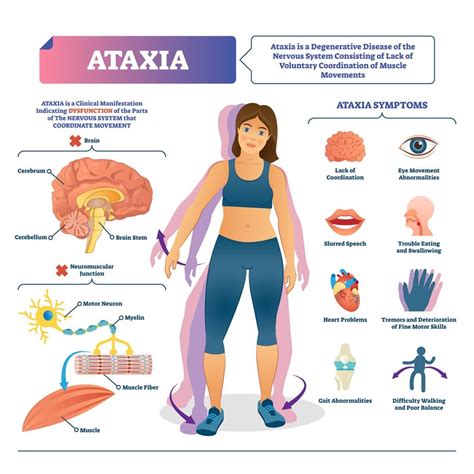https://www.visionexercisephysiology.com.au/wp-content/uploads/2021/12/Ataxia.jpg
